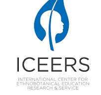 logo iceers